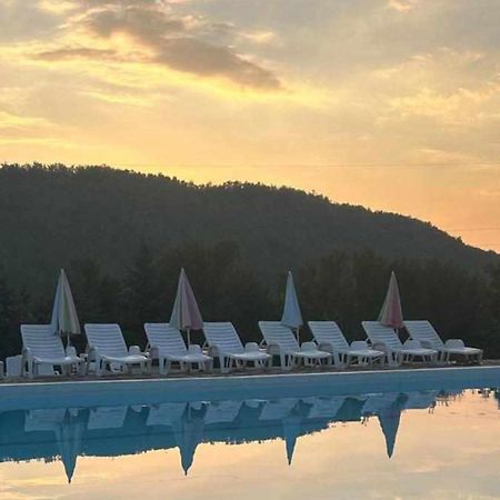 Forest Camp Despotovac Bagian luar foto