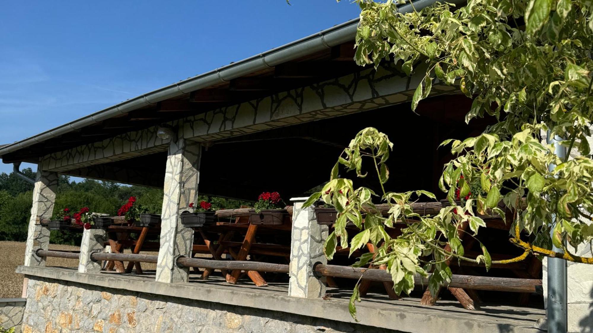 Forest Camp Despotovac Bagian luar foto
