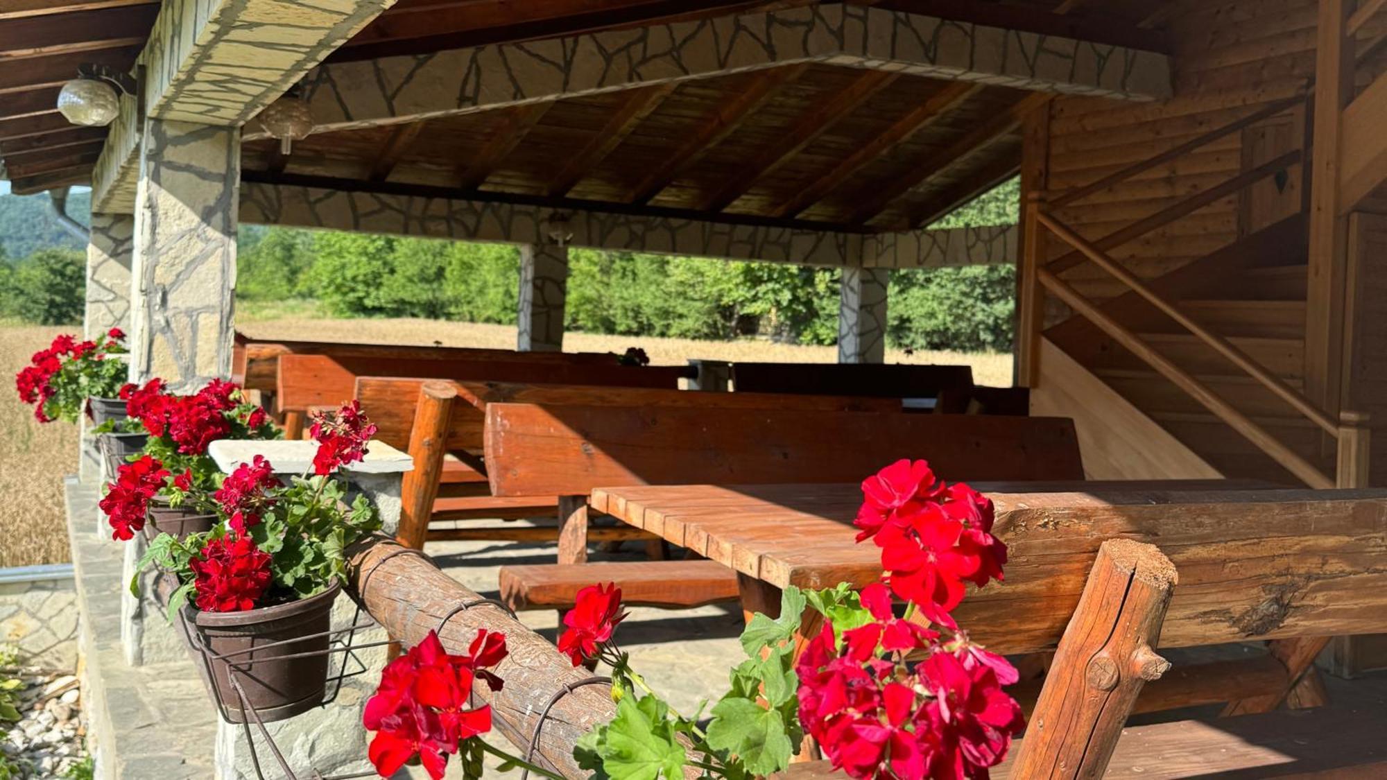 Forest Camp Bed & Breakfast Despotovac Bagian luar foto