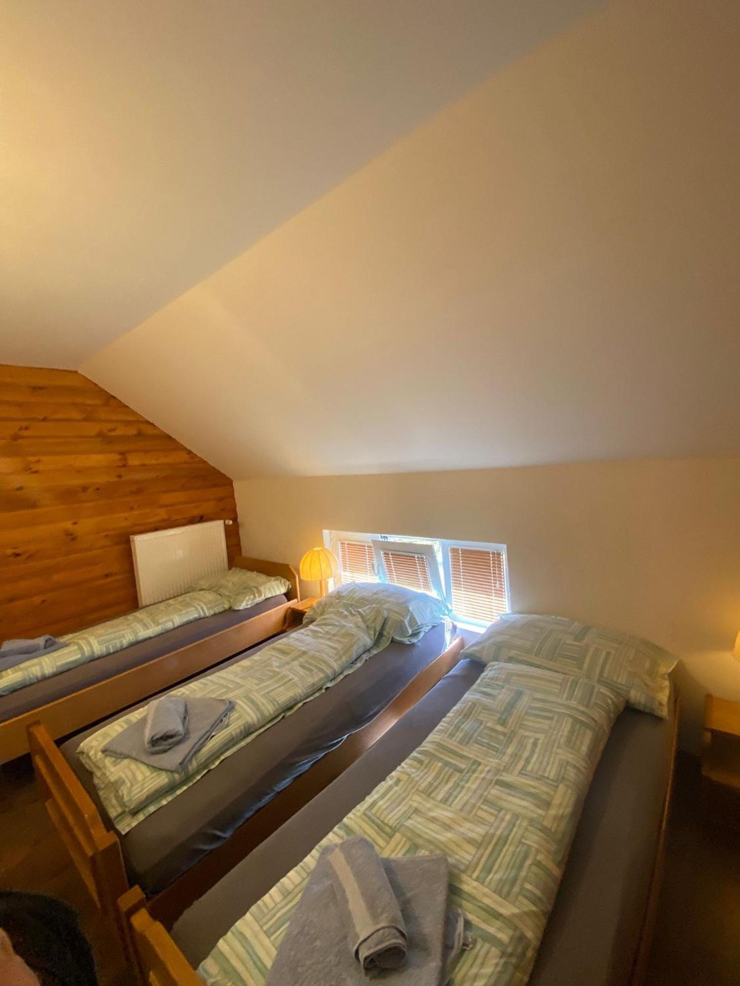 Forest Camp Despotovac Bagian luar foto